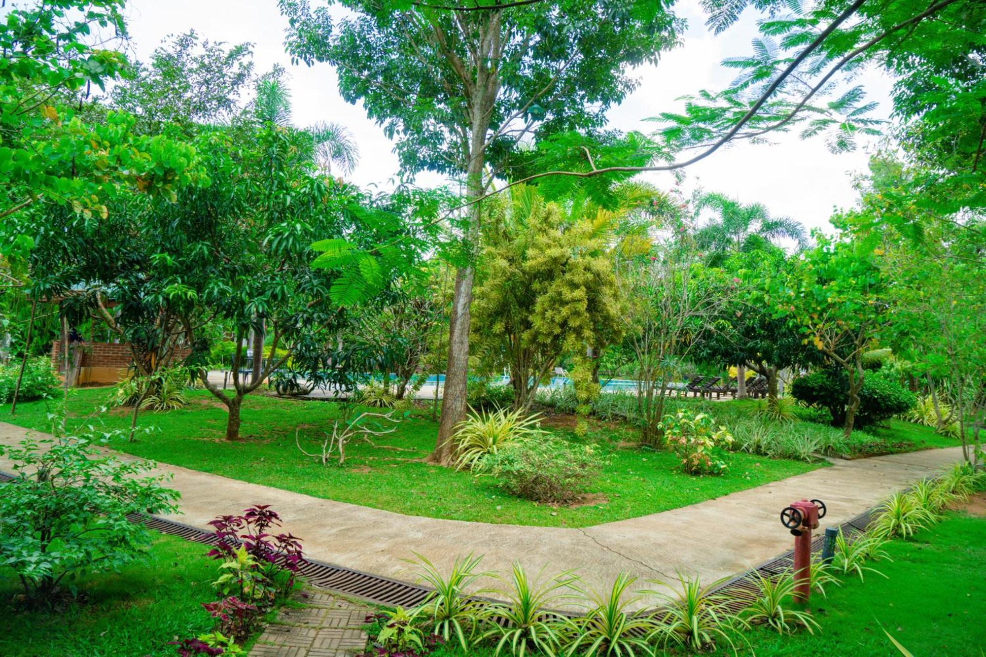 Sungreen Resort Habarana Exterior photo